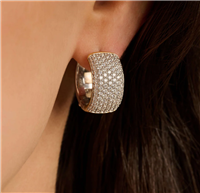 Ohrringe Ti Sento Milano Dame Iconics in Silber Zircone 7853ZY - 7853ZY
